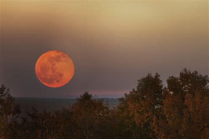 What is the name of an orange moon?