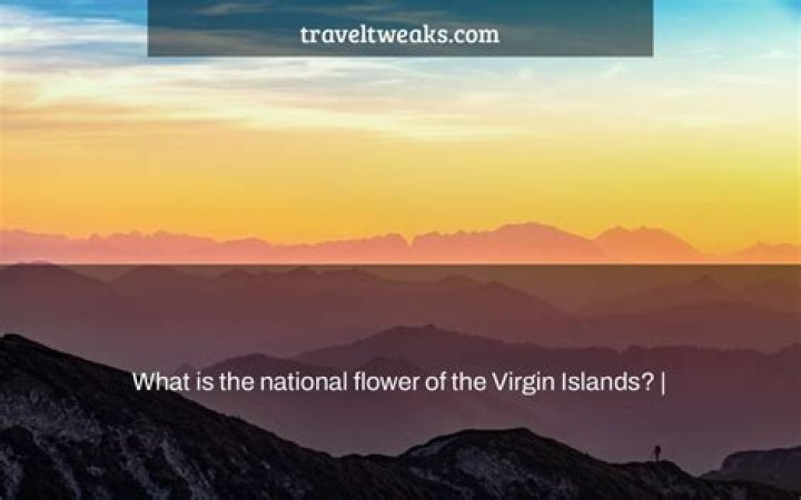 What is the national flower of the Virgin Islands?