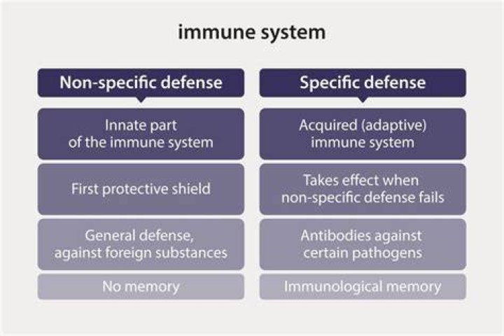 What is the non specific immune response?