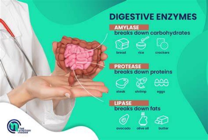 What is the nonprotein portion of an enzyme called?