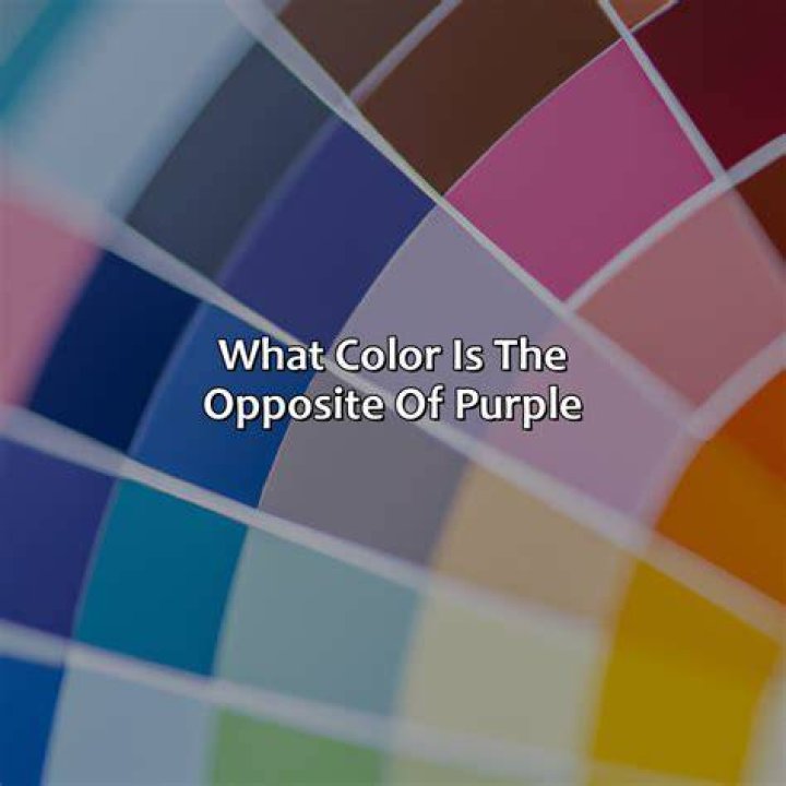 What is the opposite of Viejos?