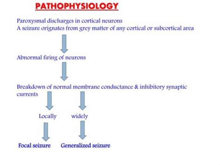 What is the pathophysiology of epilepsy?