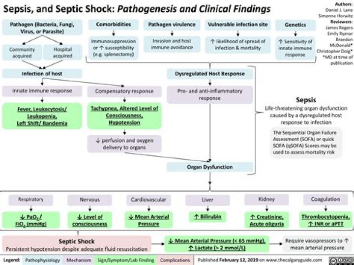 What is the pathophysiology of sepsis?
