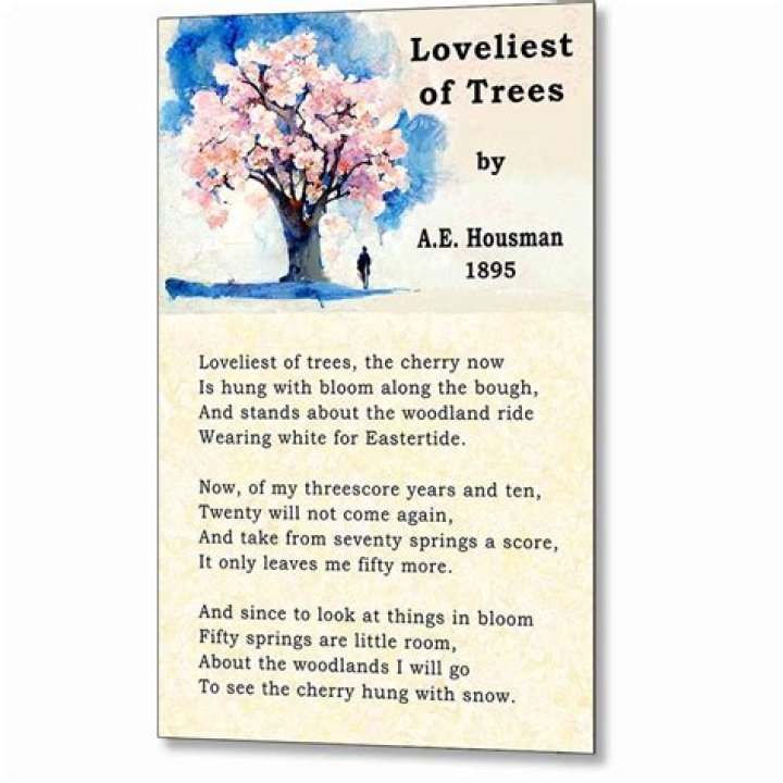 What is the poem Loveliest of trees about?