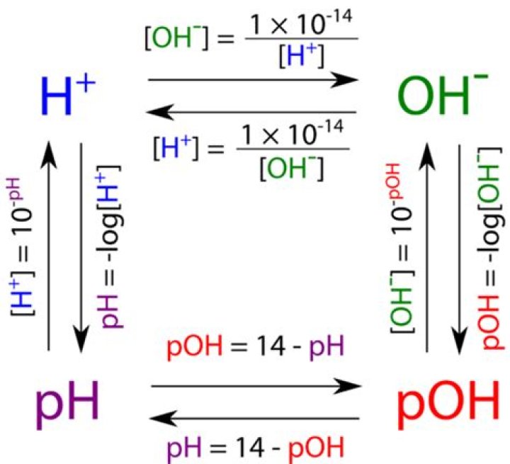 What is the pOH?