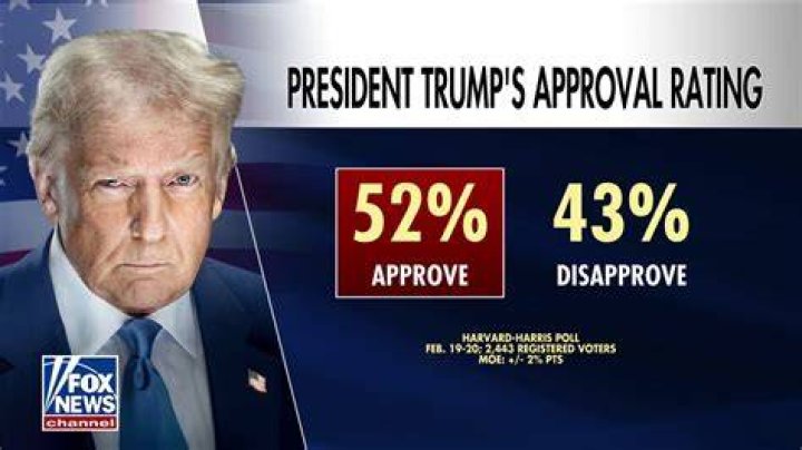 What is the president's responsibility to approve disapprove or suggest laws?