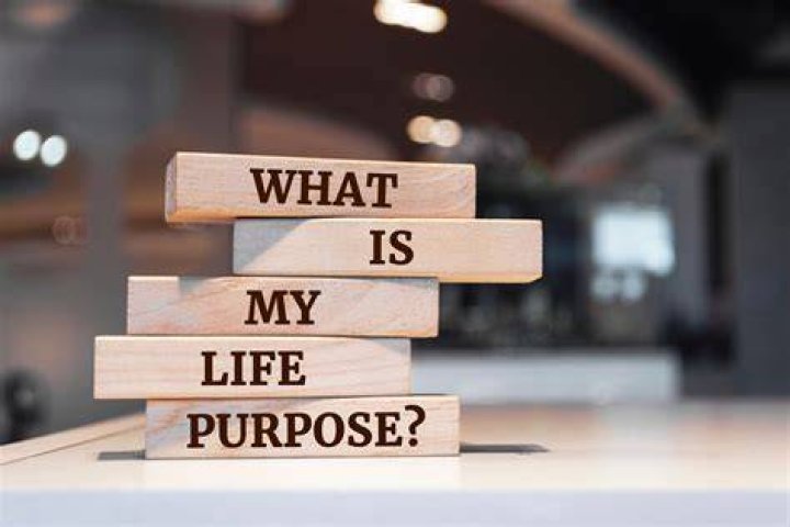 What is the purpose of an app?