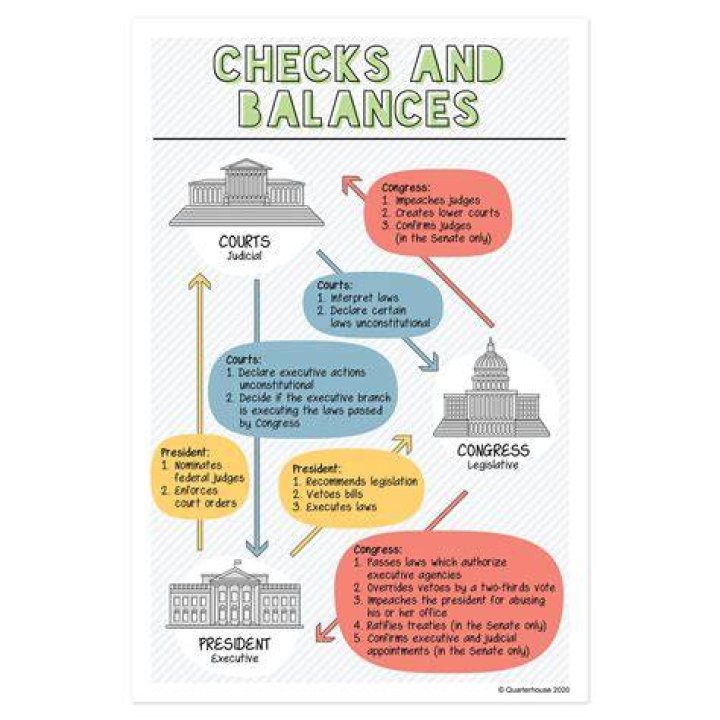 What is the purpose of checks and balances quizlet?