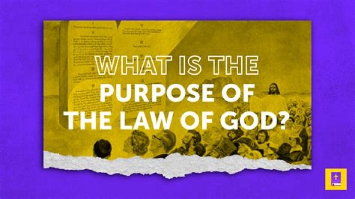 What is the purpose of the law of contract?
