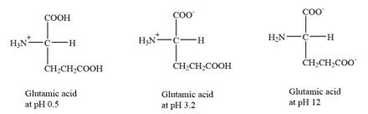 What is the R group of glutamic acid?
