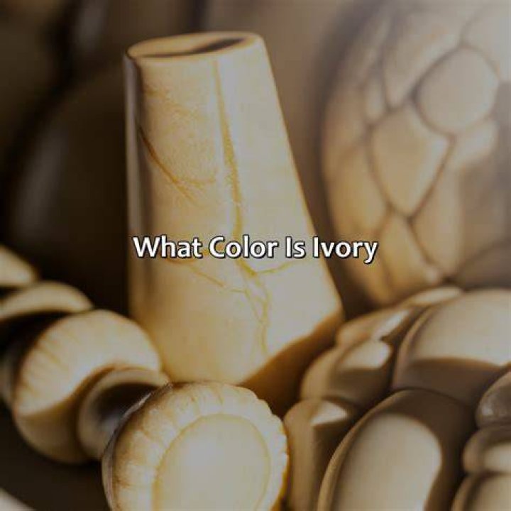 What is the real color of Squidward?