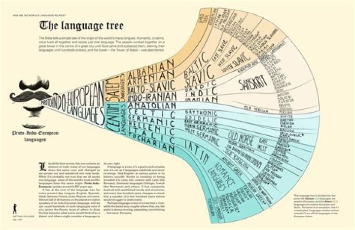 What is the root of all languages?