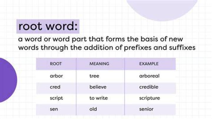 What is the root word for scientist?