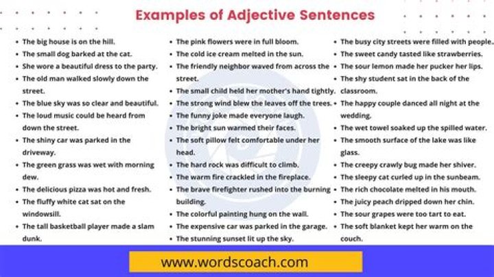 What is the sentence of bluff?