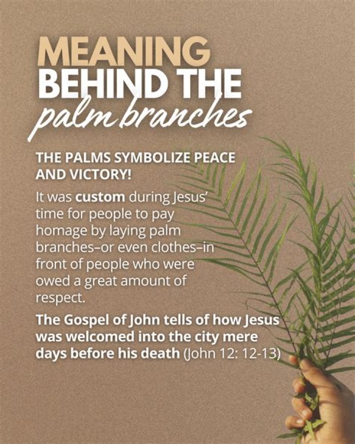 What is the significance of the palm tree?