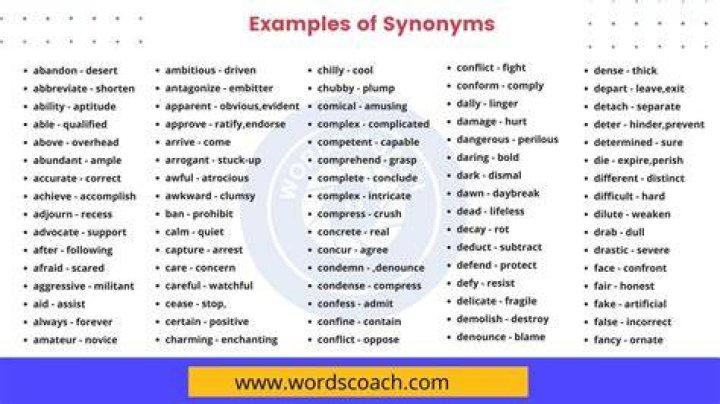What is the synonym of research?