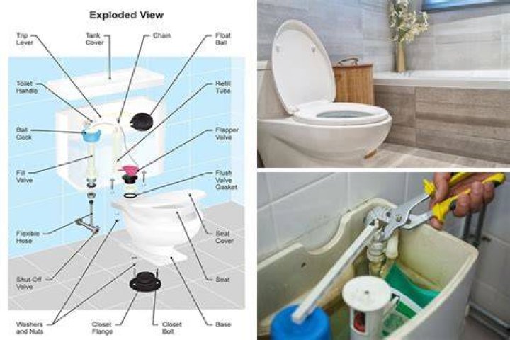 What is the toilet connected to?