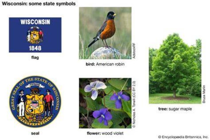 What is the Wisconsin state symbol?