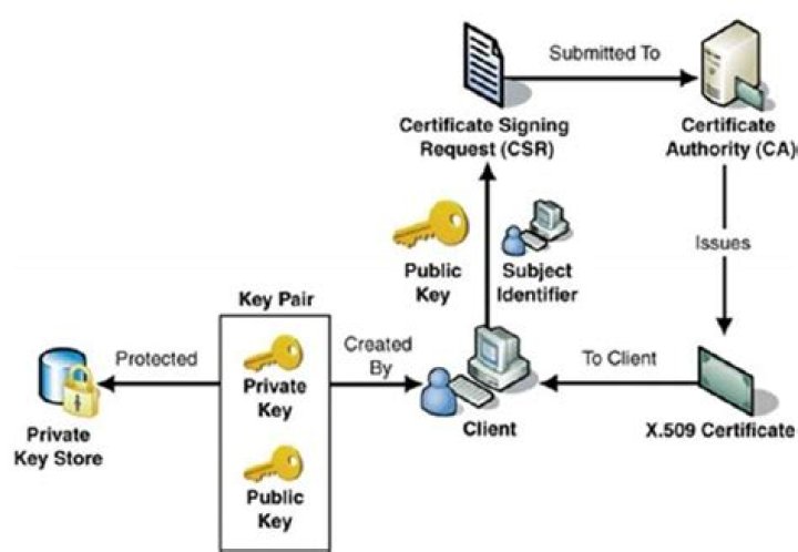 What is Truststore certificate? | ContextResponse.com