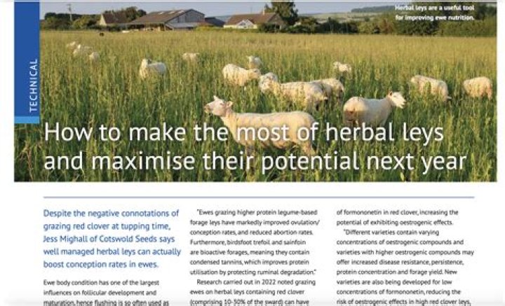 What is Tupping season? | ContextResponse.com