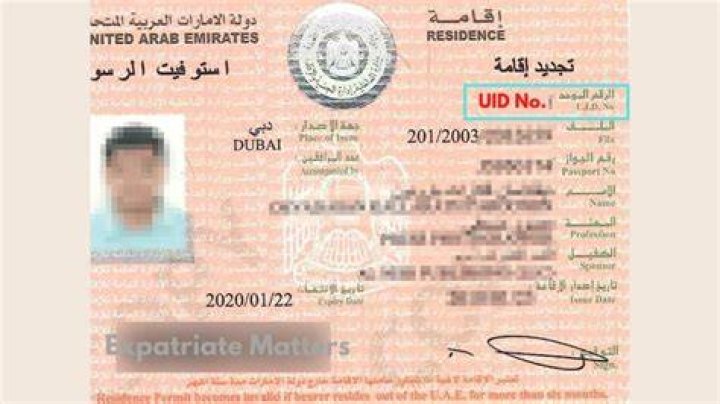 What is UID number in UAE visa?