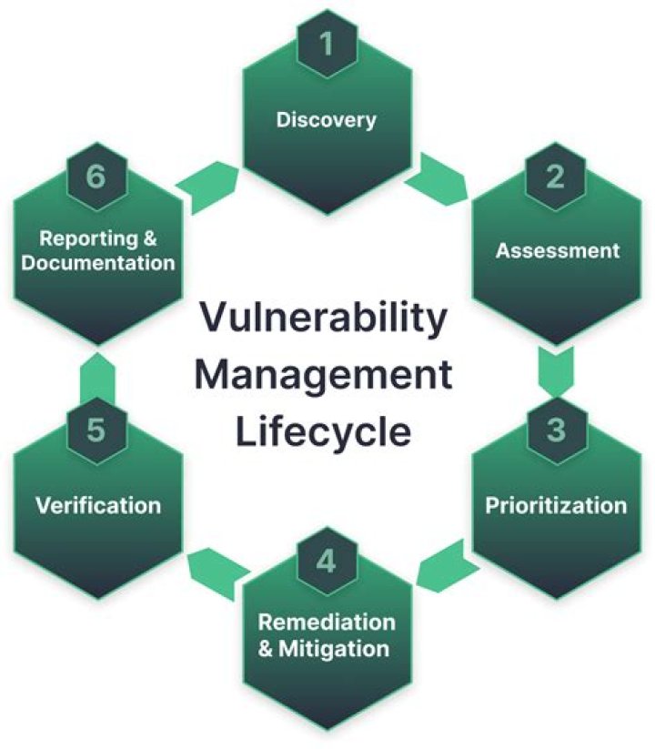 What is vulnerability management process?