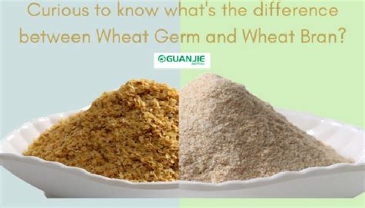 What is wheat germ powder?