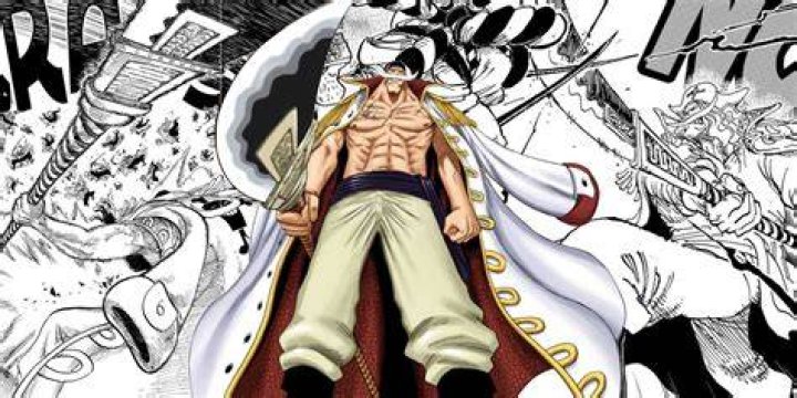 What is whitebeard's devil fruit?