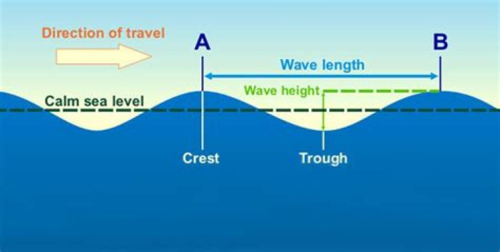 What is wind wave height?