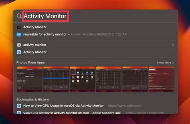What is WindowServer activity monitor?