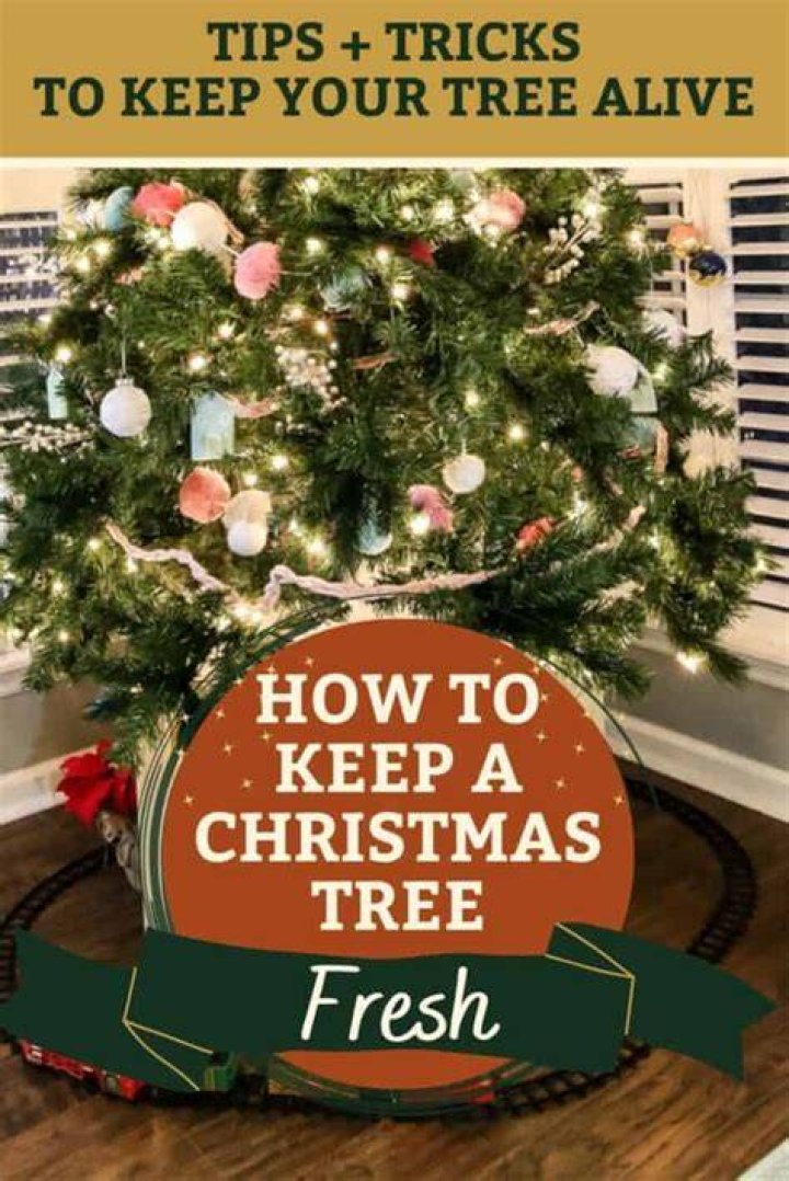 What keeps a tree alive?