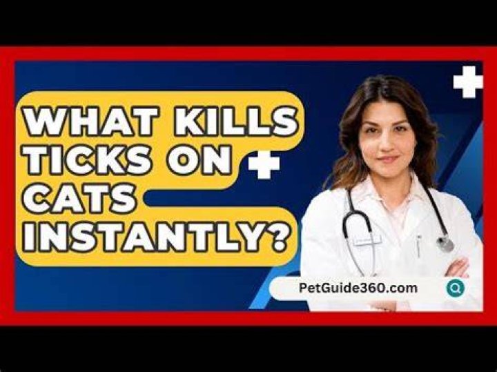 What kills ticks on cats?