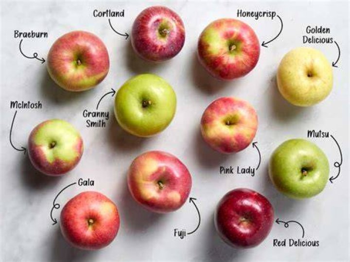 What kind of apples are grown in Virginia?