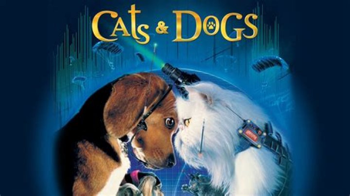 What kind of dog is in cats and dogs?