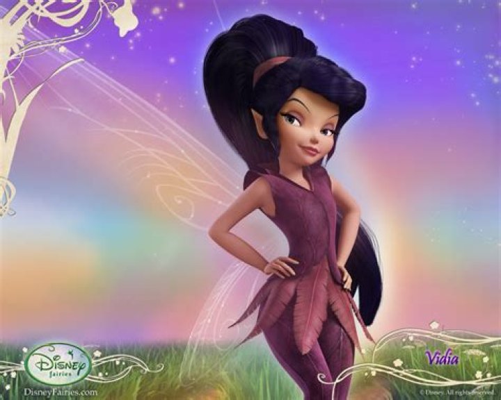 What kind of fairy is Vidia?