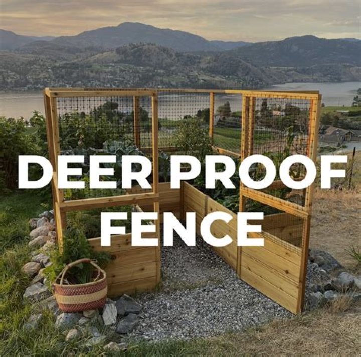 What kind of fence will keep deer out?