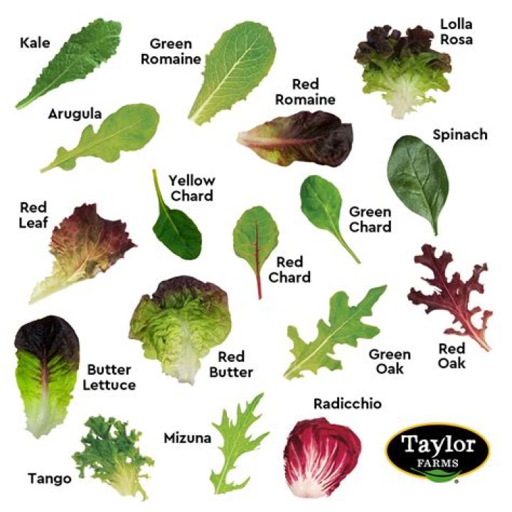 What kind of lettuce is in mixed greens?