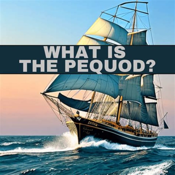 What kind of ship was the Pequod?