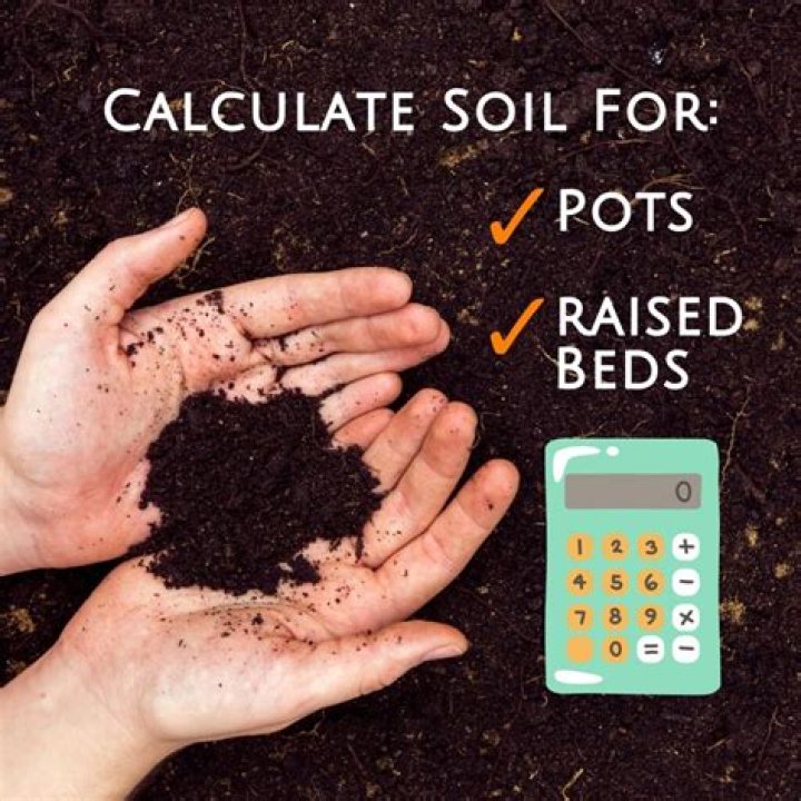 What kind of soil do sedums need?