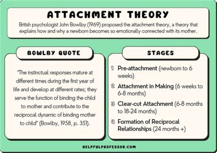 What kind of theory is attachment theory?