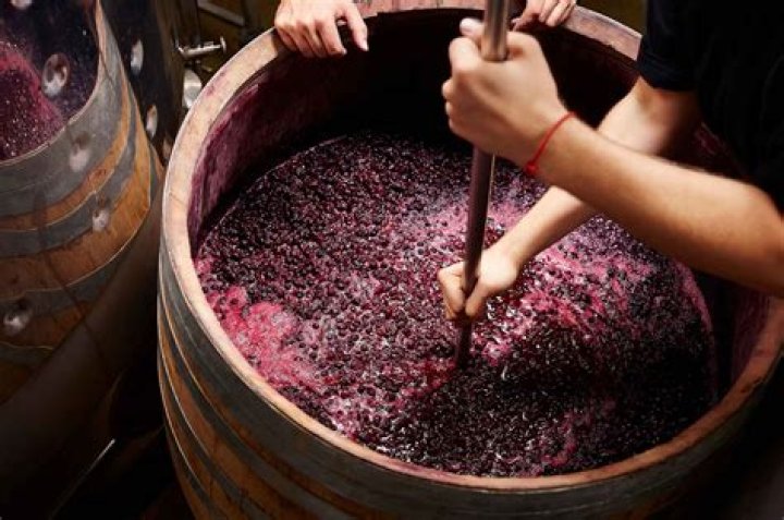 What kind of yeast is best for making wine?