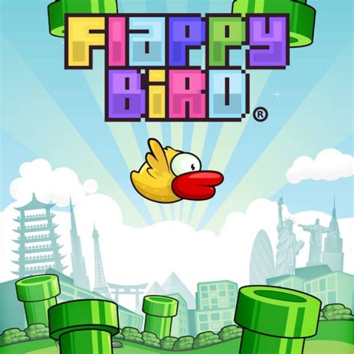 What language is flappy bird written in?