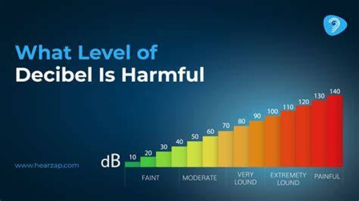 What level of SAR is safe in India?
