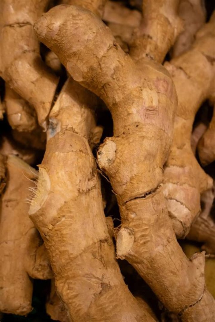 What makes ginger antibacterial?