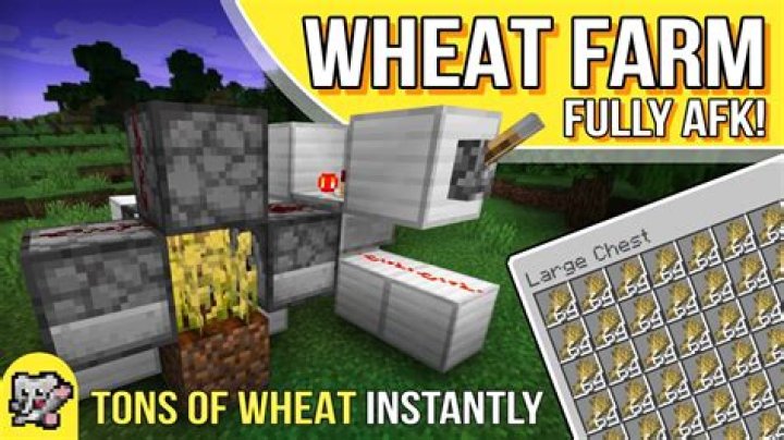 What makes wheat grow faster in Minecraft?