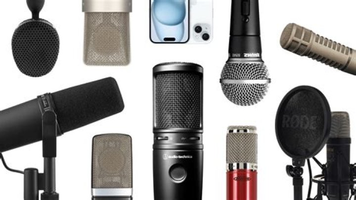 What microphones do professional singers use?