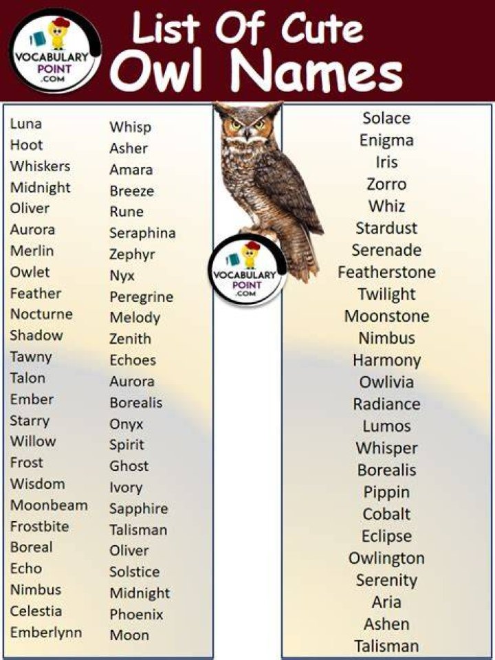 What name means owl? | ContextResponse.com
