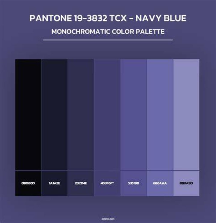What Pantone is navy blue?