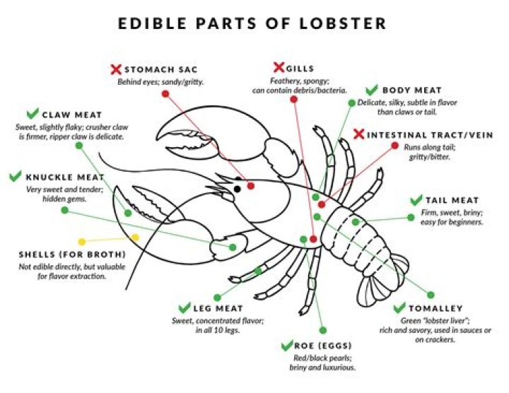 What parts of a lobster are edible?