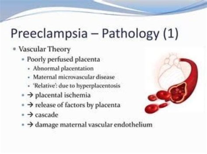 What pathological changes are associated with the placenta in preeclampsia?